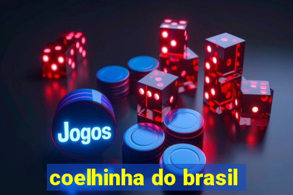 coelhinha do brasil