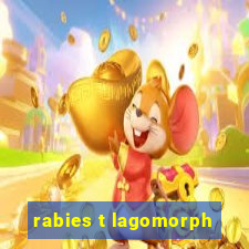 rabies t lagomorph