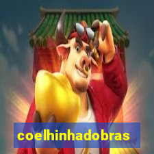 coelhinhadobrasil