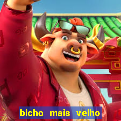 bicho mais velho da loteria dos sonhos