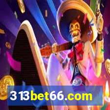 313bet66.com