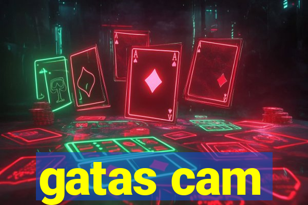 gatas cam