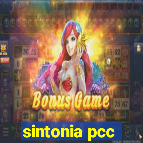 sintonia pcc