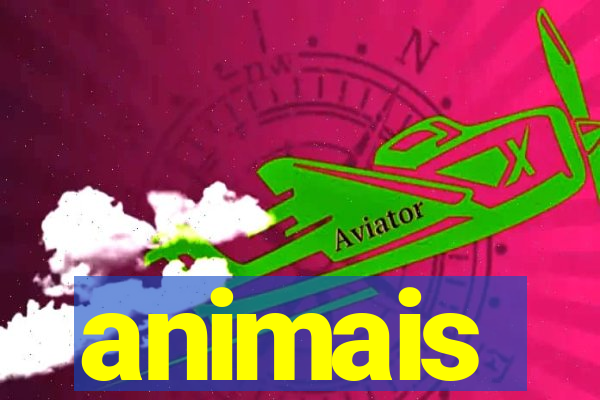 animais-pg.com