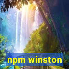 npm winston