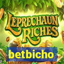 betbicho