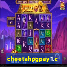 cheetahpgpay1.com