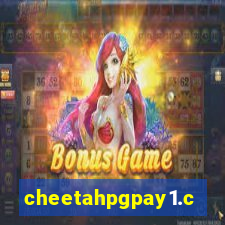 cheetahpgpay1.com