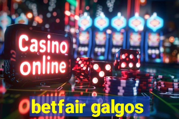 betfair galgos